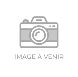 Ces malades qui font l'histoire (ePub) - Pierre Rentchnick